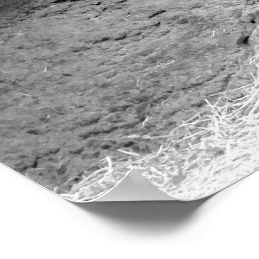 Mannelijke Gorilla Profiel in zwart-wit Poster (Hoek)