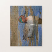 Mannelijke Groen-Winged Blauwgroen bij de Pond Legpuzzel (Verticaal)