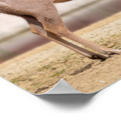 Mannelijke grotere kudu poster (Hoek)