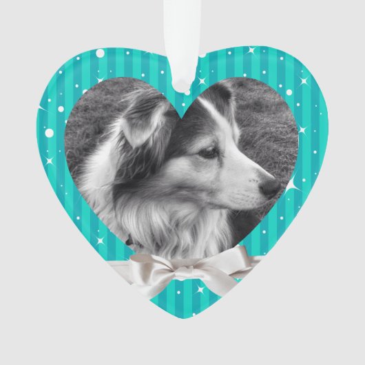 Mannelijke hond of Kat Eerste Kerstfoto Keepomwill Ornament (voorkant)