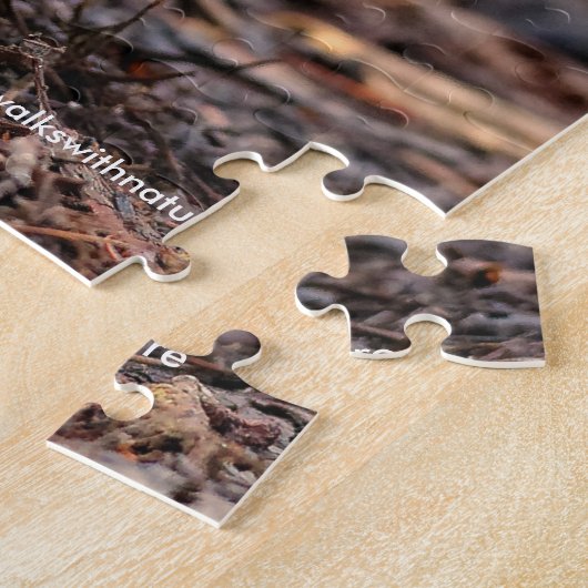Mannelijke Hout Duck in de Bossen Legpuzzel (Zijkant)