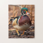 Mannelijke Hout Duck in de Bossen Legpuzzel (Verticaal)