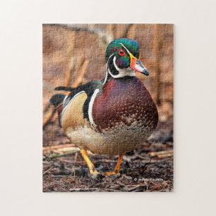 Mannelijke Hout Duck in de Bossen Legpuzzel