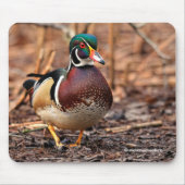 Mannelijke Hout Duck in de Bossen Muismat (Voorkant)