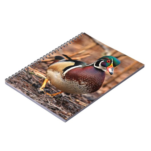 Mannelijke Hout Duck in de Bossen Notitieboek (Linkerzijde)