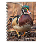 Mannelijke Hout Duck in de Bossen Notitieboek (Voorkant)