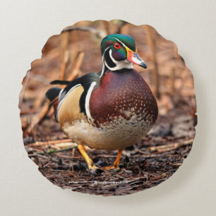 Mannelijke Hout Duck in de Bossen Rond Kussen