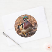 Mannelijke Hout Duck in de Bossen Ronde Sticker (Envelop)