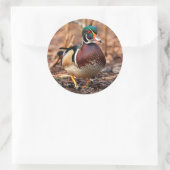 Mannelijke Hout Duck in de Bossen Ronde Sticker (Tas)