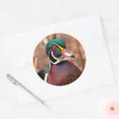 Mannelijke Hout Duck in de Bossen Ronde Sticker (Envelop)