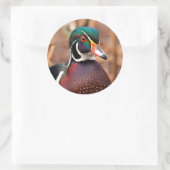 Mannelijke Hout Duck in de Bossen Ronde Sticker (Tas)