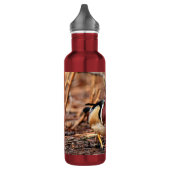 Mannelijke Hout Duck in de Bossen Waterfles (Links)