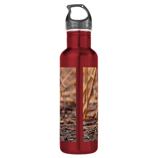 Mannelijke Hout Duck in de Bossen Waterfles (Achterkant)