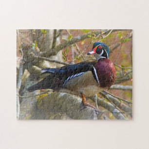 Mannelijke Hout Duck op de Boom Legpuzzel