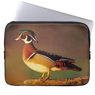 Mannelijke houtduif, Illinois Laptop Sleeve