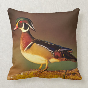 Mannelijke houteend, Illinois Kussen