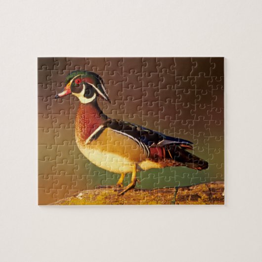 Mannelijke houteend, Illinois Legpuzzel (Horizontaal)