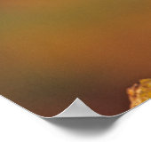 Mannelijke houteend, Illinois Poster (Hoek)