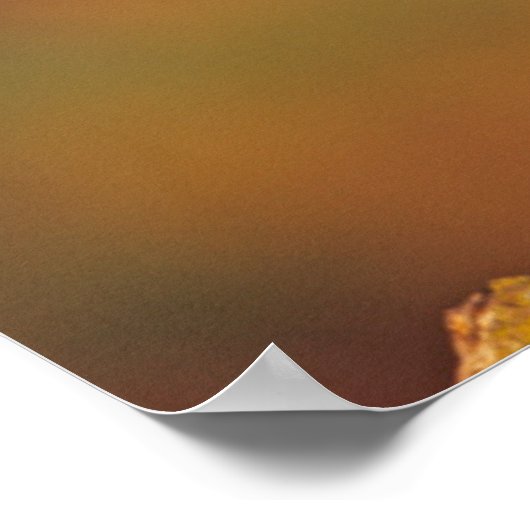 Mannelijke houteend, Illinois Poster (Hoek)