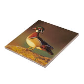 Mannelijke houteend, Illinois Tegeltje (Zijkant)