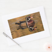 Mannelijke houten eend op Golden Lake Rechthoekige Sticker (Envelop)