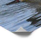 Mannelijke Houten Eend Poster (Hoek)