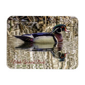 Mannelijke houten eenden zwemmen in vijver puzzel magneet (Horizontaal)