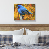 Mannelijke Indigo Bunting, Passerina cyanea Canvas Afdruk (Insitu (Slaapkamer))