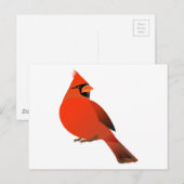 Mannelijke kardinaal Bird Briefkaart (Voorkant / Achterkant)