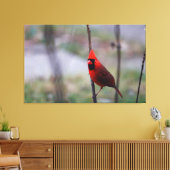 Mannelijke kardinaal Bird Canvas Afdruk (Insitu (Woonkamer))