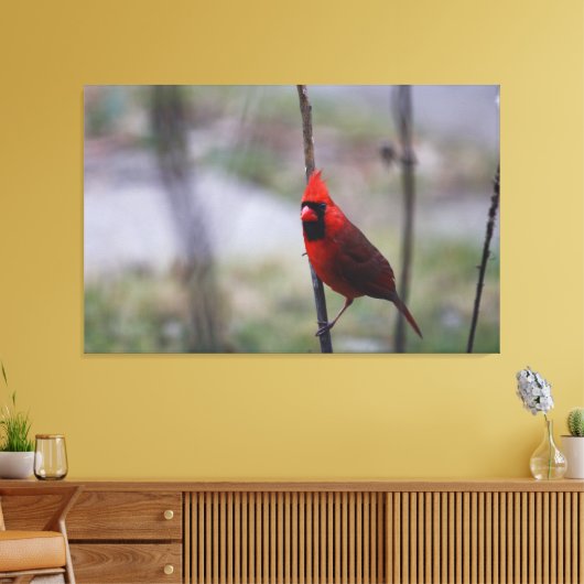 Mannelijke kardinaal Bird Canvas Afdruk (Insitu (Woonkamer))