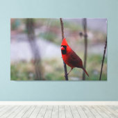 Mannelijke kardinaal Bird Canvas Afdruk (Insitu (Houten vloer))