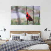 Mannelijke kardinaal Bird Canvas Afdruk (Insitu (Slaapkamer))
