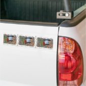 Mannelijke kardinaal bumpersticker (Op Truck)