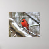 Mannelijke kardinaal canvas afdruk (Voorkant)