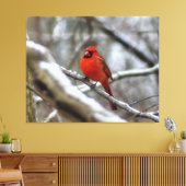 Mannelijke kardinaal canvas afdruk (Insitu (Woonkamer))