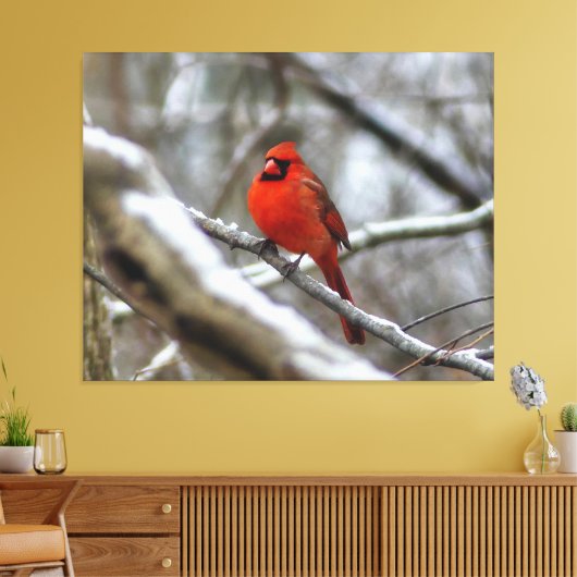 Mannelijke kardinaal canvas afdruk (Insitu (Woonkamer))