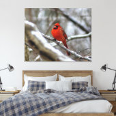 Mannelijke kardinaal canvas afdruk (Insitu (Slaapkamer))