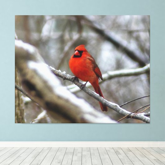 Mannelijke kardinaal canvas afdruk (Insitu (Houten vloer))