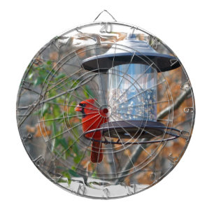 Mannelijke kardinaal dartbord