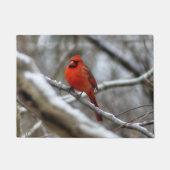 Mannelijke kardinaal deurmat (Voorkant)