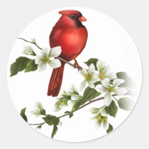 Mannelijke Kardinaal Dogwood Blossoms Tak Sticker