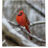 Mannelijke kardinaal douchegordijn (Voorkant)