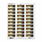 Mannelijke kardinaal etiket (Full Sheet)