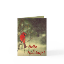 Mannelijke kardinaal