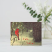 Mannelijke kardinaal feestdagenkaart (Staand voorkant)