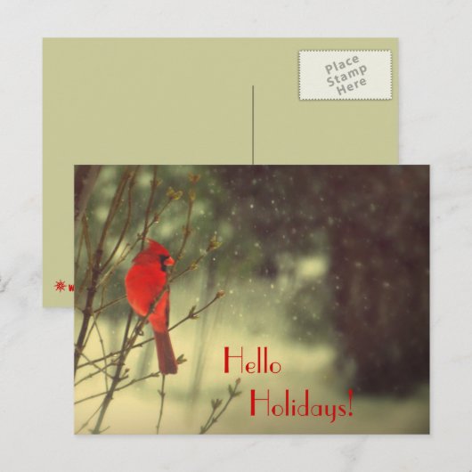 Mannelijke kardinaal feestdagenkaart (Voorkant / Achterkant)