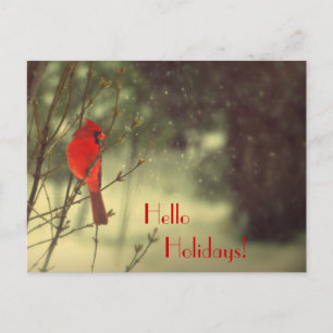 Mannelijke kardinaal feestdagenkaart