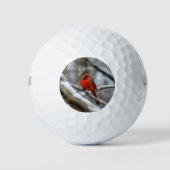 Mannelijke kardinaal golfballen (Voorkant)