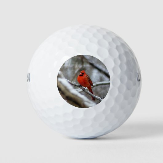 Mannelijke kardinaal golfballen (Voorkant)
